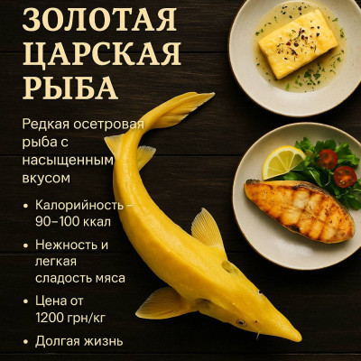 Стерлядь-альбинос